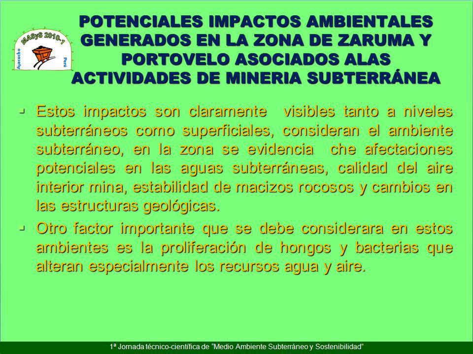 POTENCIALES IMPACTOS AMBIENTALES GENERADOS EN LA ZONA DE ZARUMA Y PORTOVELO ASOCIADOS ALAS ACTIVIDADES DE MINERIA SUBTERRÁNEA