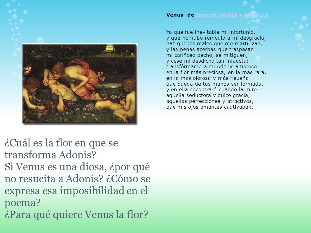 ¿Cuál es la flor en que se transforma Adonis