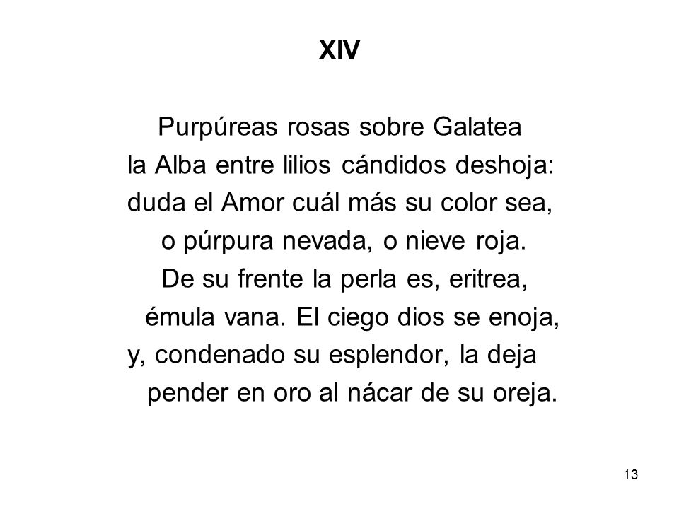 Purpúreas rosas sobre Galatea la Alba entre lilios cándidos deshoja: