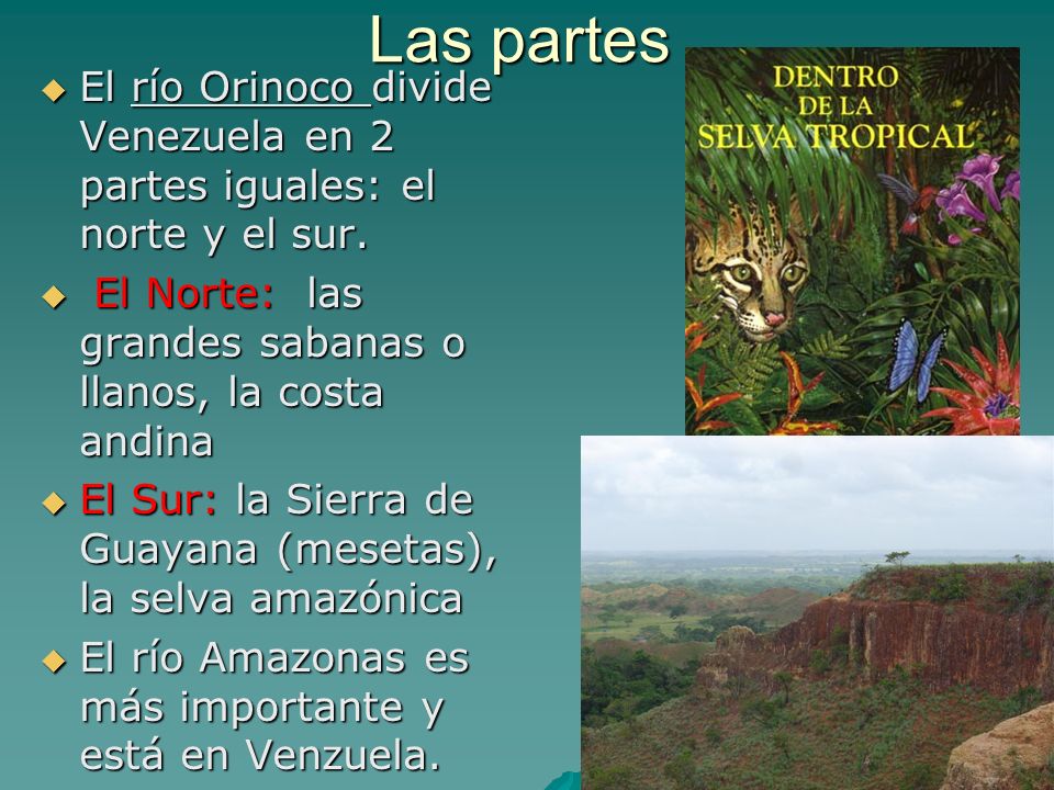 Las partes El río Orinoco divide Venezuela en 2 partes iguales: el norte y el sur. El Norte: las grandes sabanas o llanos, la costa andina.