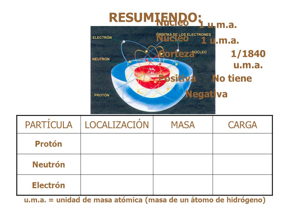 RESUMIENDO: Núcleo 1 u.m.a. Núcleo 1 u.m.a. Corteza 1/1840 u.m.a.