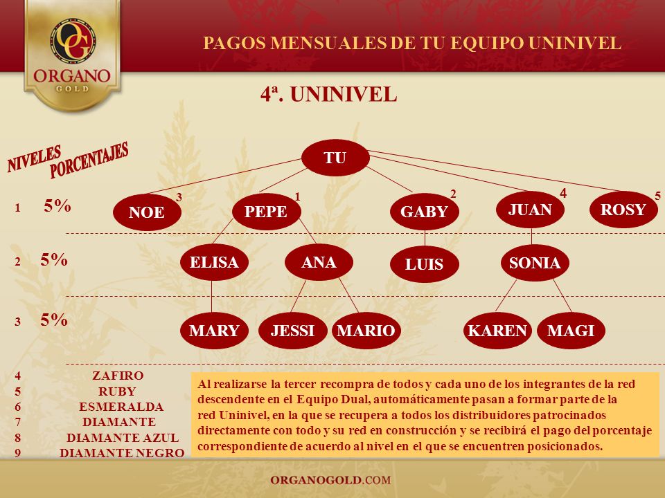 NIVELES 4ª. UNINIVEL PAGOS MENSUALES DE TU EQUIPO UNINIVEL TU