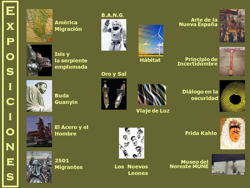E x p o s i c i o n e s B.A.N.G. Arte de la Nueva España América