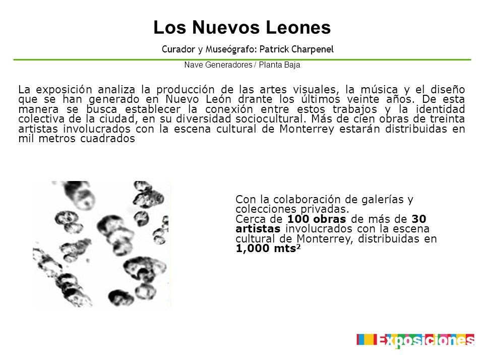 Los Nuevos Leones Curador y Museógrafo: Patrick Charpenel. Nave Generadores / Planta Baja.