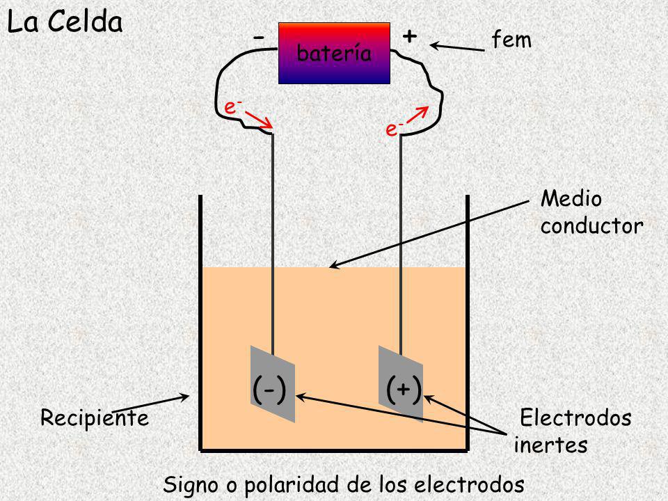 Signo o polaridad de los electrodos