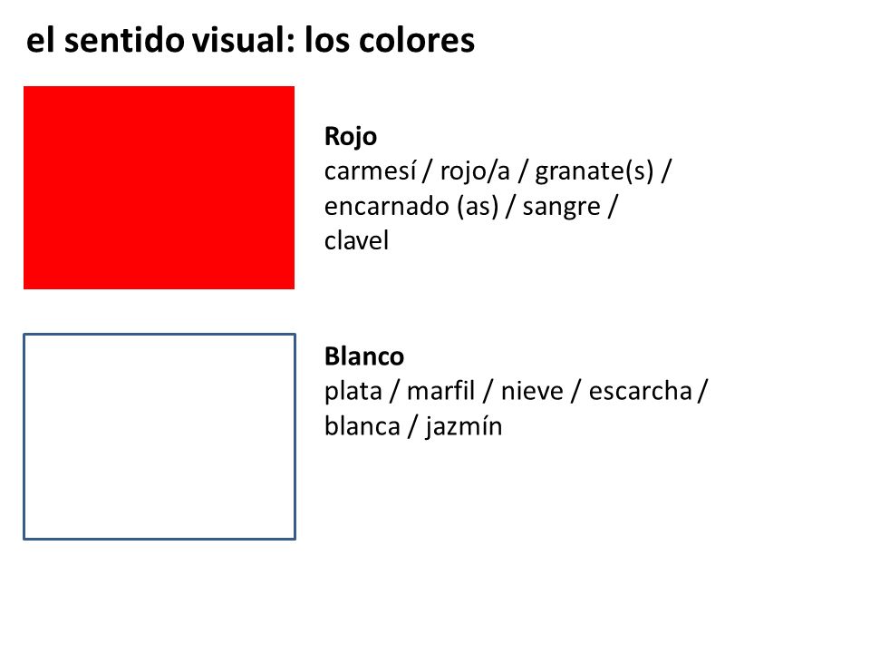 el sentido visual: los colores