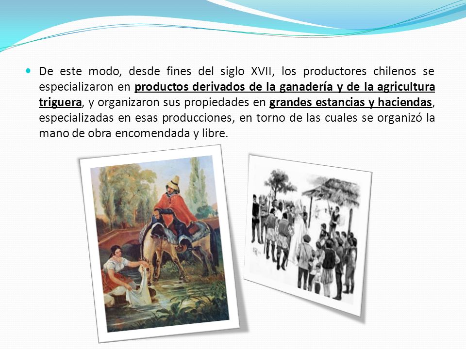 De este modo, desde fines del siglo XVII, los productores chilenos se especializaron en productos derivados de la ganadería y de la agricultura triguera, y organizaron sus propiedades en grandes estancias y haciendas, especializadas en esas producciones, en torno de las cuales se organizó la mano de obra encomendada y libre.