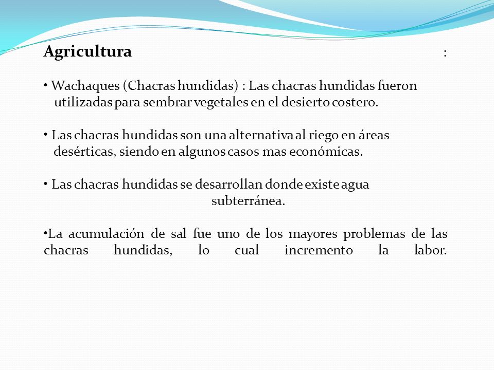 Agricultura : Wachaques (Chacras hundidas) : Las chacras hundidas fueron. utilizadas para sembrar vegetales en el desierto costero.