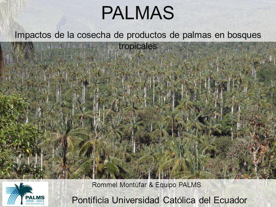 PALMAS Impactos de la cosecha de productos de palmas en bosques tropicales. Rommel Montúfar & Equipo PALMS.