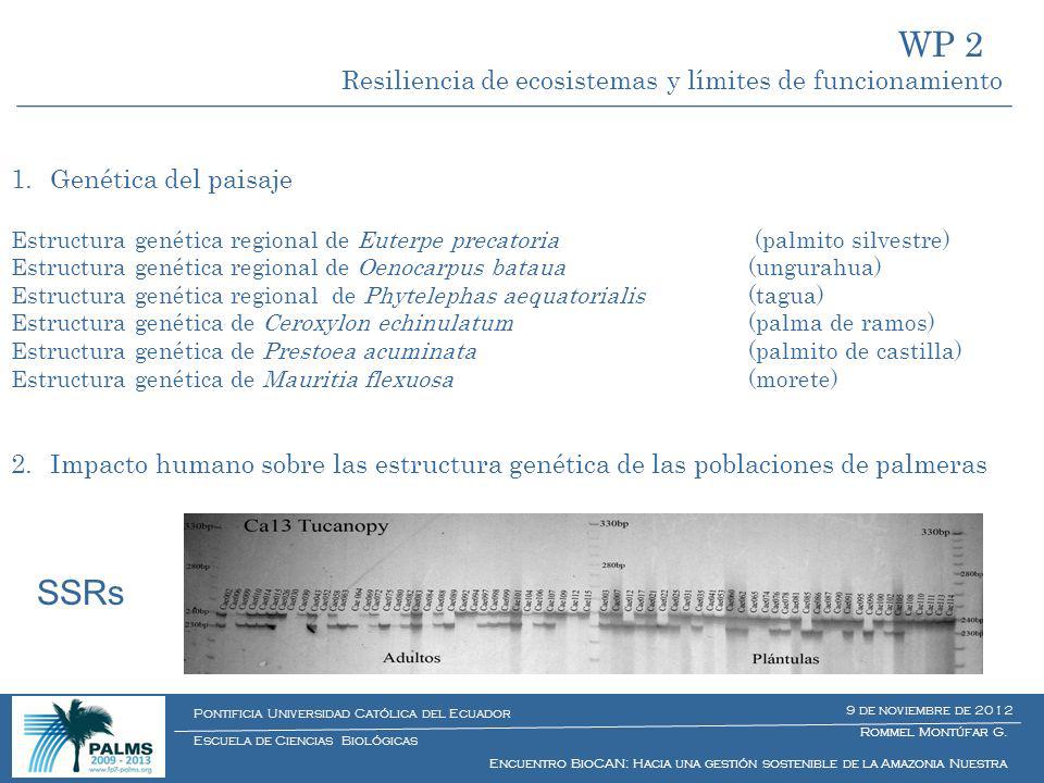 WP 2 SSRs Resiliencia de ecosistemas y límites de funcionamiento