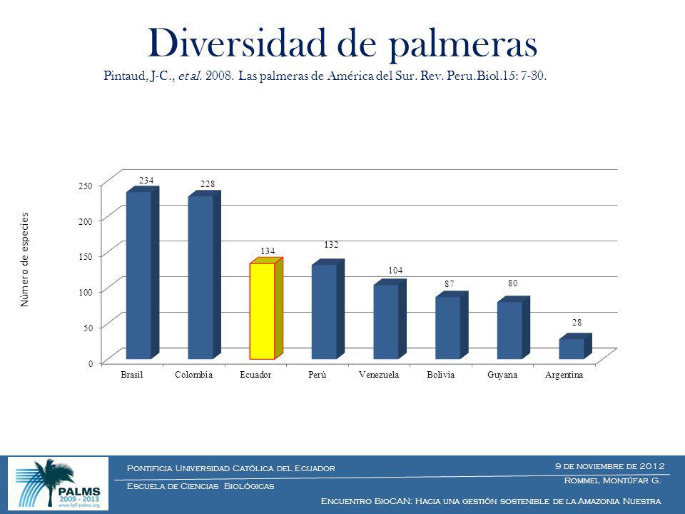 Diversidad de palmeras