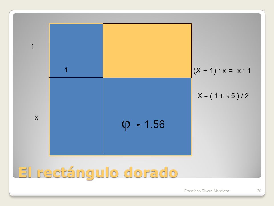 El rectángulo dorado (X + 1) : x = x : x X = ( 1 + √ 5 ) / 2 x