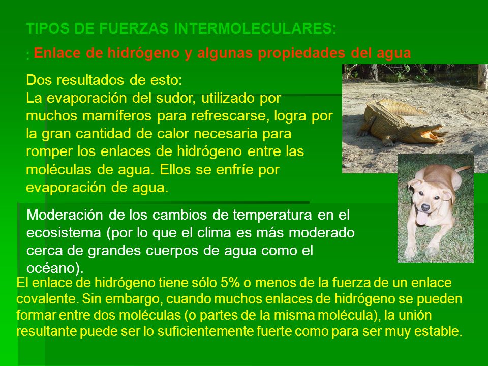 TIPOS DE FUERZAS INTERMOLECULARES: :