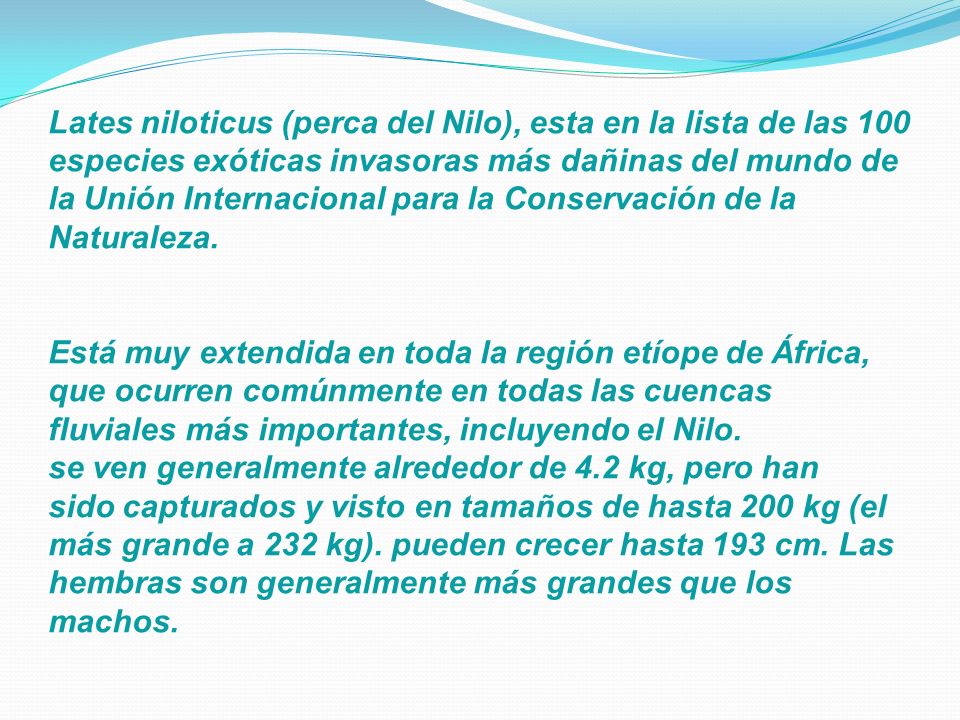 Lates niloticus (perca del Nilo), esta en la lista de las 100 especies exóticas invasoras más dañinas del mundo de la Unión Internacional para la Conservación de la Naturaleza.