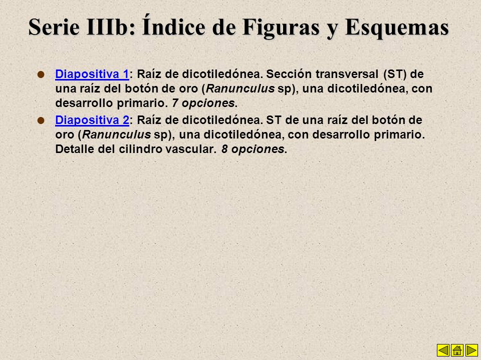 Serie IIIb: Índice de Figuras y Esquemas
