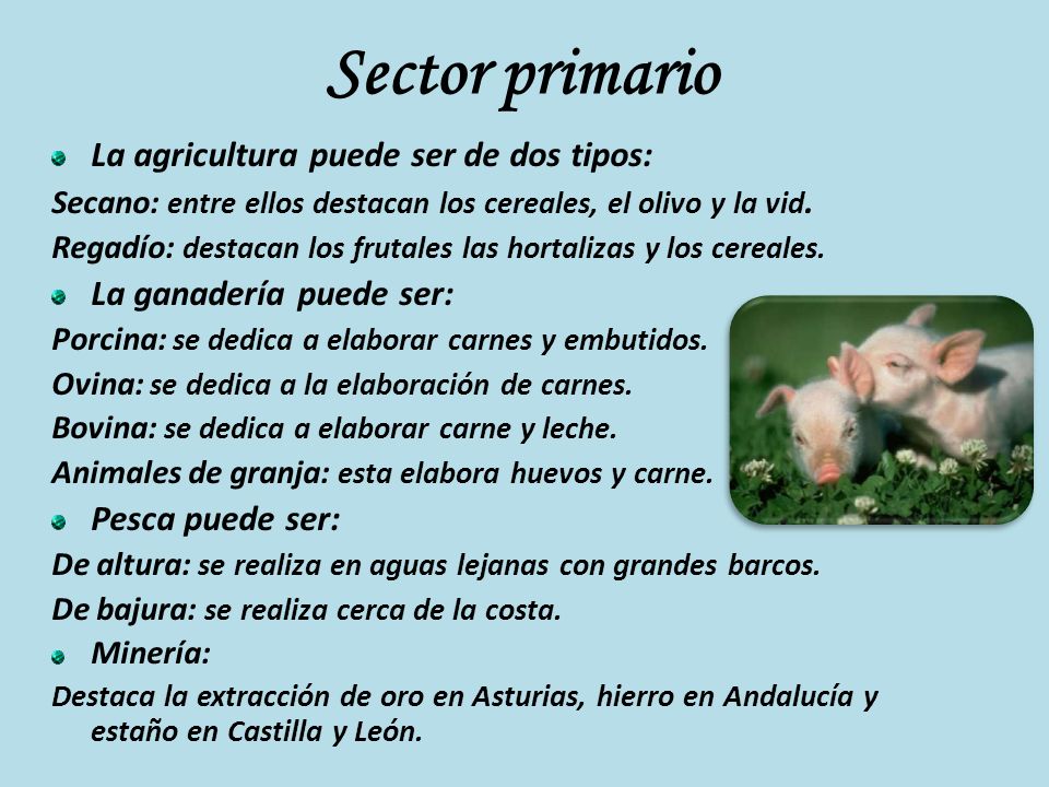 Sector primario La agricultura puede ser de dos tipos: