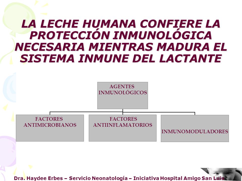 LA LECHE HUMANA CONFIERE LA PROTECCIÓN INMUNOLÓGICA NECESARIA MIENTRAS MADURA EL SISTEMA INMUNE DEL LACTANTE