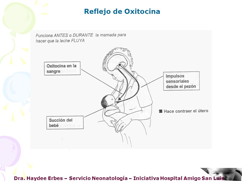 Reflejo de Oxitocina Dra. Haydee Erbes – Servicio Neonatología – Iniciativa Hospital Amigo San Luis