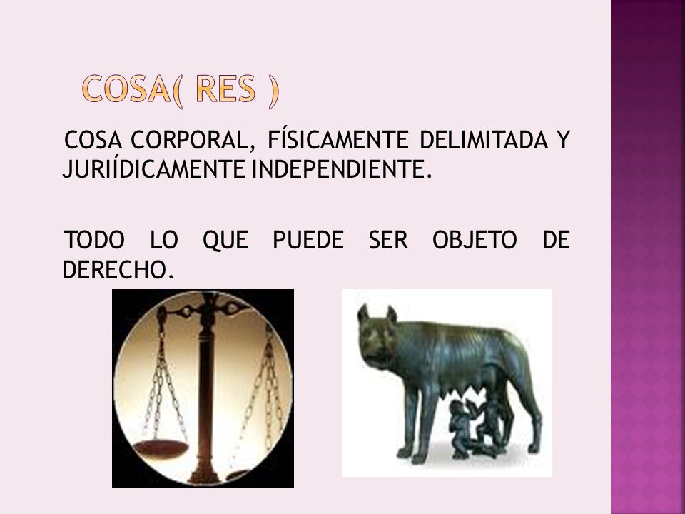 COSA( RES ) COSA CORPORAL, FÍSICAMENTE DELIMITADA Y JURIÍDICAMENTE INDEPENDIENTE.