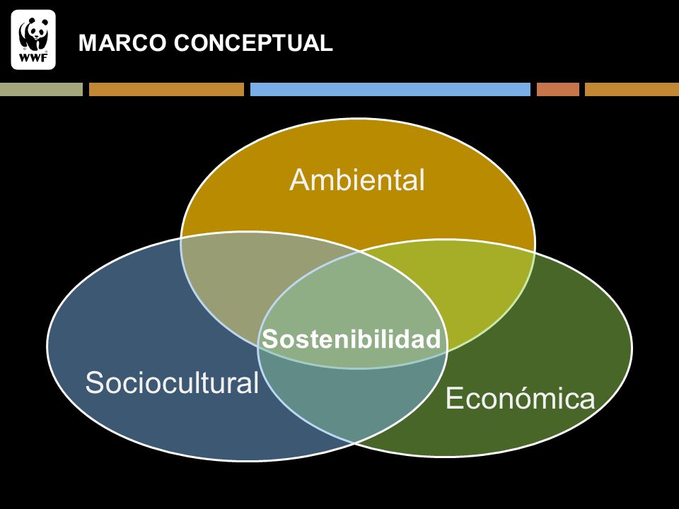 MARCO CONCEPTUAL Ambiental Económica Sociocultural Sostenibilidad