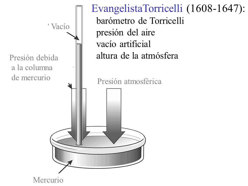 EvangelistaTorricelli ( ):