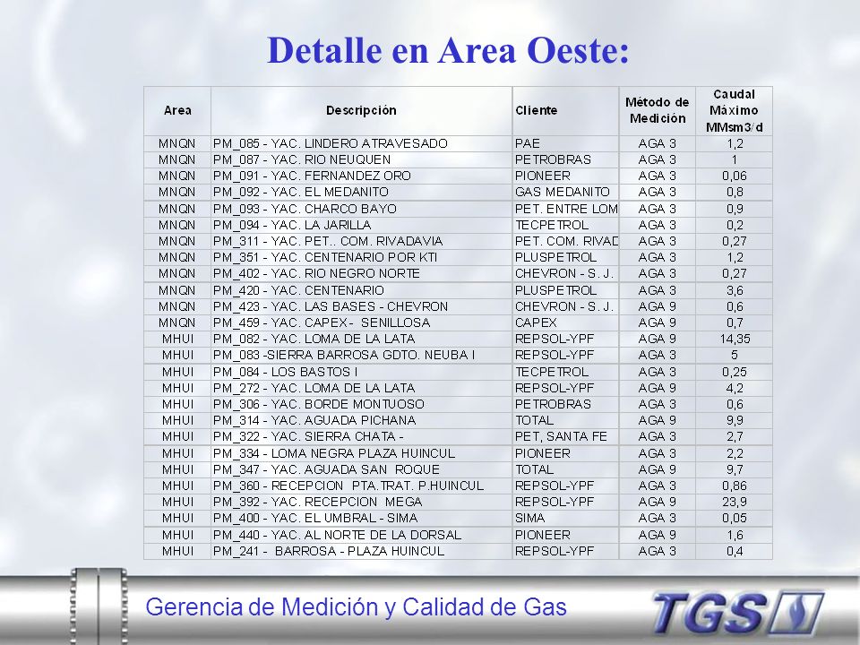 Detalle en Area Oeste: Gerencia de Medición y Calidad de Gas