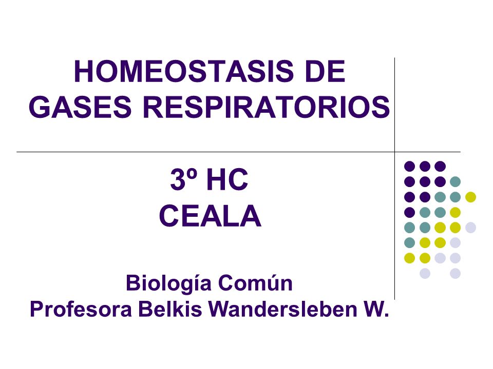 HOMEOSTASIS DE GASES RESPIRATORIOS 3º HC CEALA Biología Común Profesora Belkis Wandersleben W.