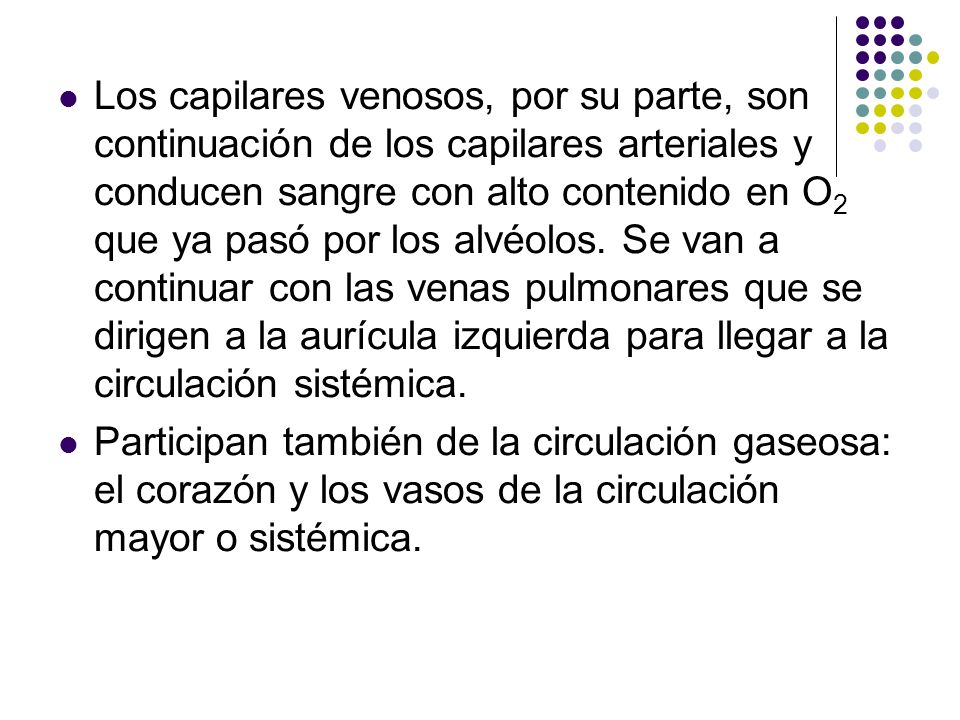 Los capilares venosos, por su parte, son continuación de los capilares arteriales y conducen sangre con alto contenido en O2 que ya pasó por los alvéolos. Se van a continuar con las venas pulmonares que se dirigen a la aurícula izquierda para llegar a la circulación sistémica.