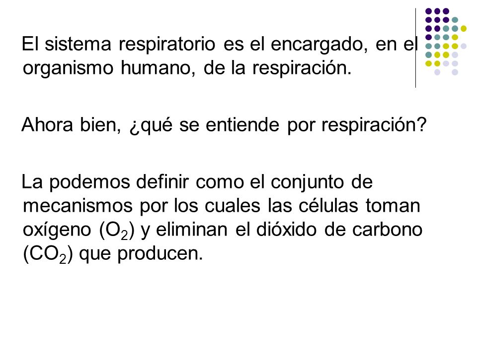 El sistema respiratorio es el encargado, en el organismo humano, de la respiración.