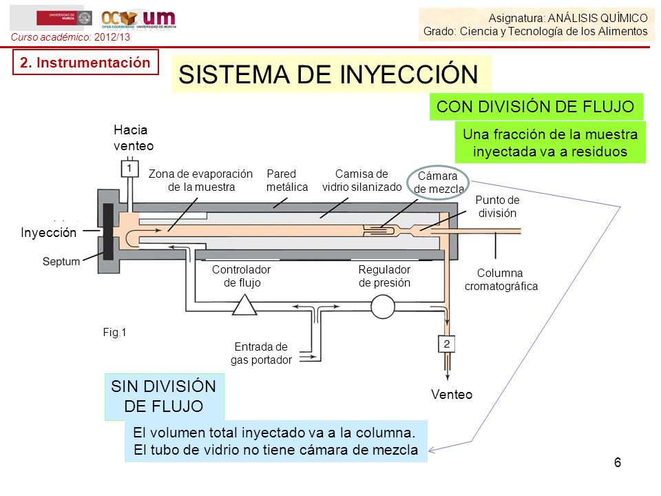 SISTEMA DE INYECCIÓN CON DIVISIÓN DE FLUJO SIN DIVISIÓN DE FLUJO