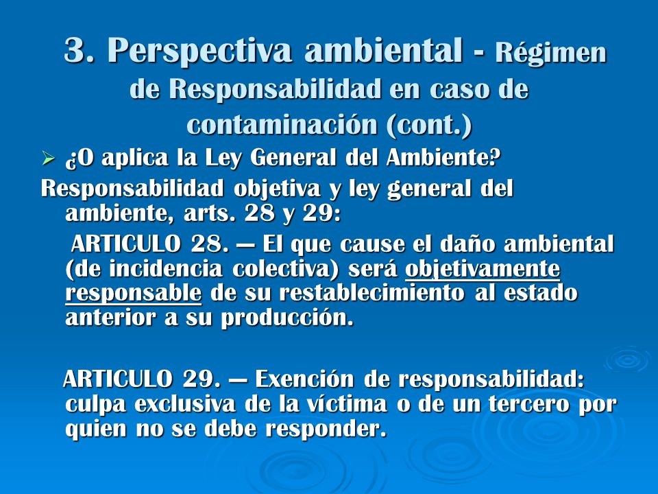 3. Perspectiva ambiental - Régimen de Responsabilidad en caso de contaminación (cont.)