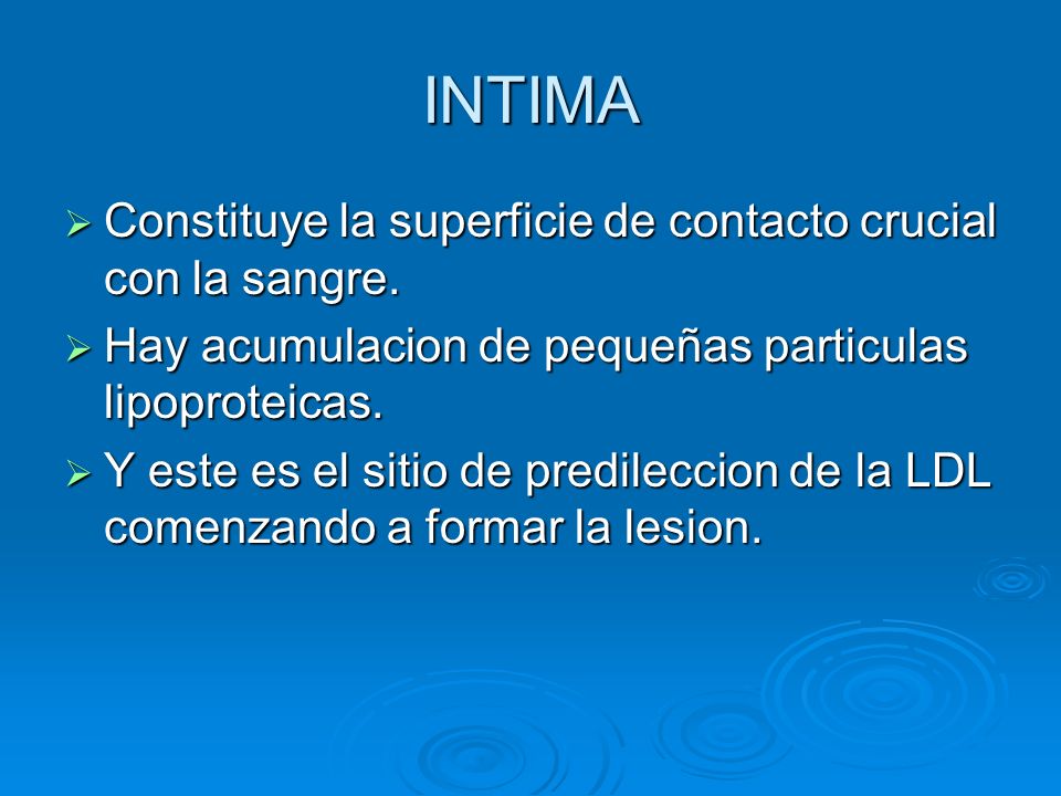INTIMA Constituye la superficie de contacto crucial con la sangre.