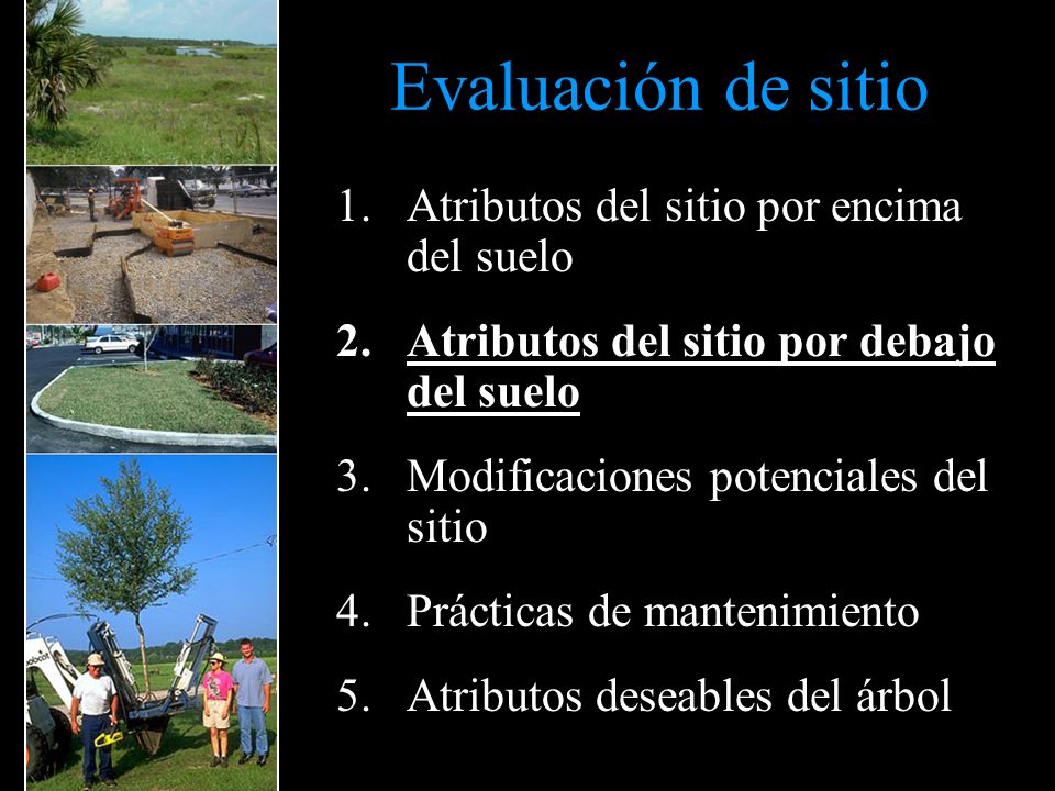 Evaluación de sitio Atributos del sitio por encima del suelo
