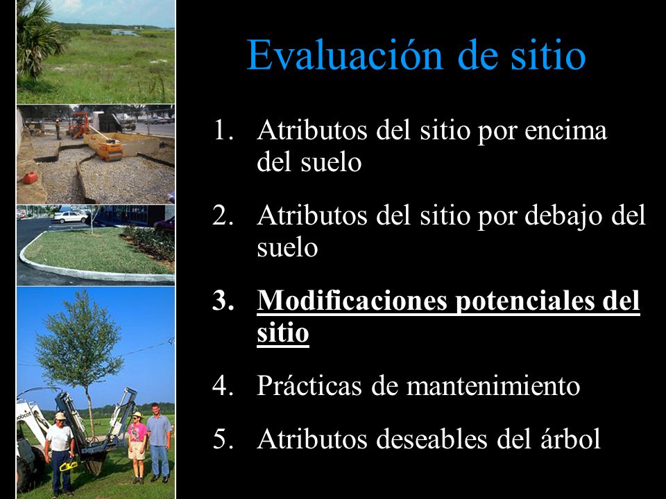 Evaluación de sitio Atributos del sitio por encima del suelo