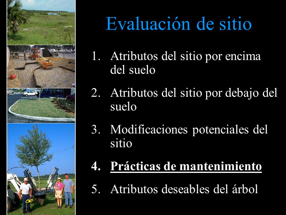 Evaluación de sitio Atributos del sitio por encima del suelo