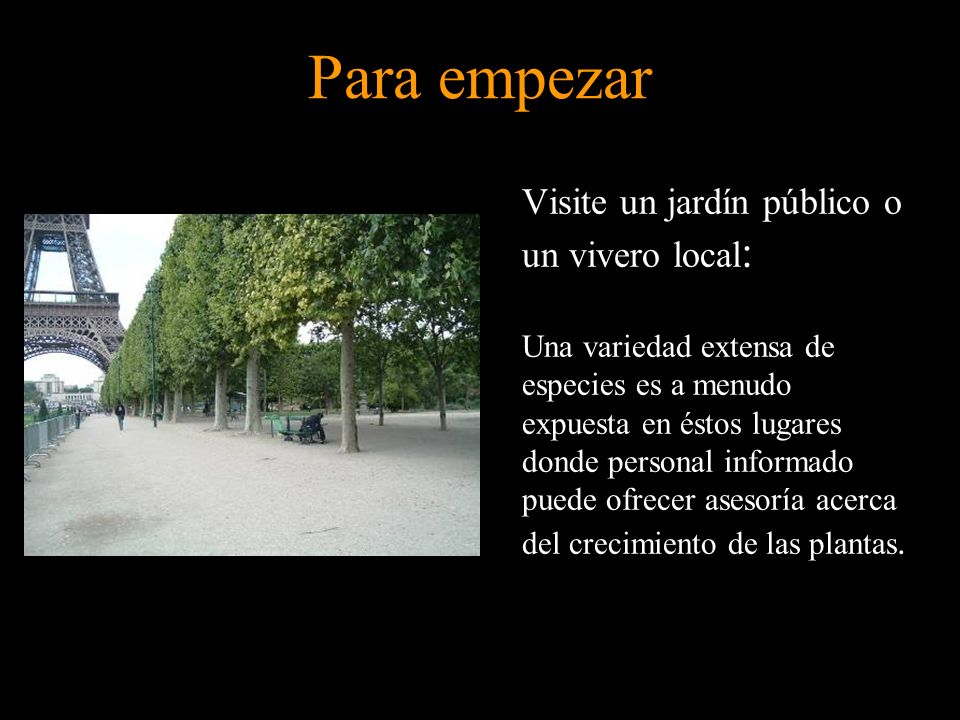 Para empezar Visite un jardín público o un vivero local: