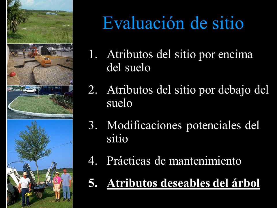 Evaluación de sitio Atributos del sitio por encima del suelo