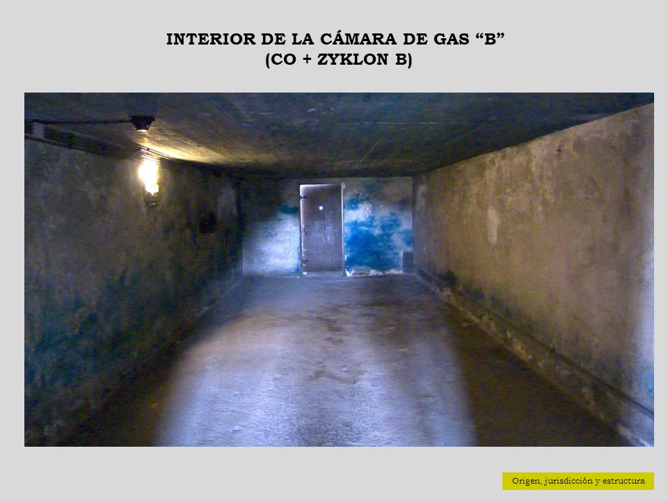 INTERIOR DE LA CÁMARA DE GAS B