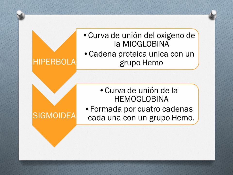 HIPERBOLA SIGMOIDEA Curva de unión del oxigeno de la MIOGLOBINA