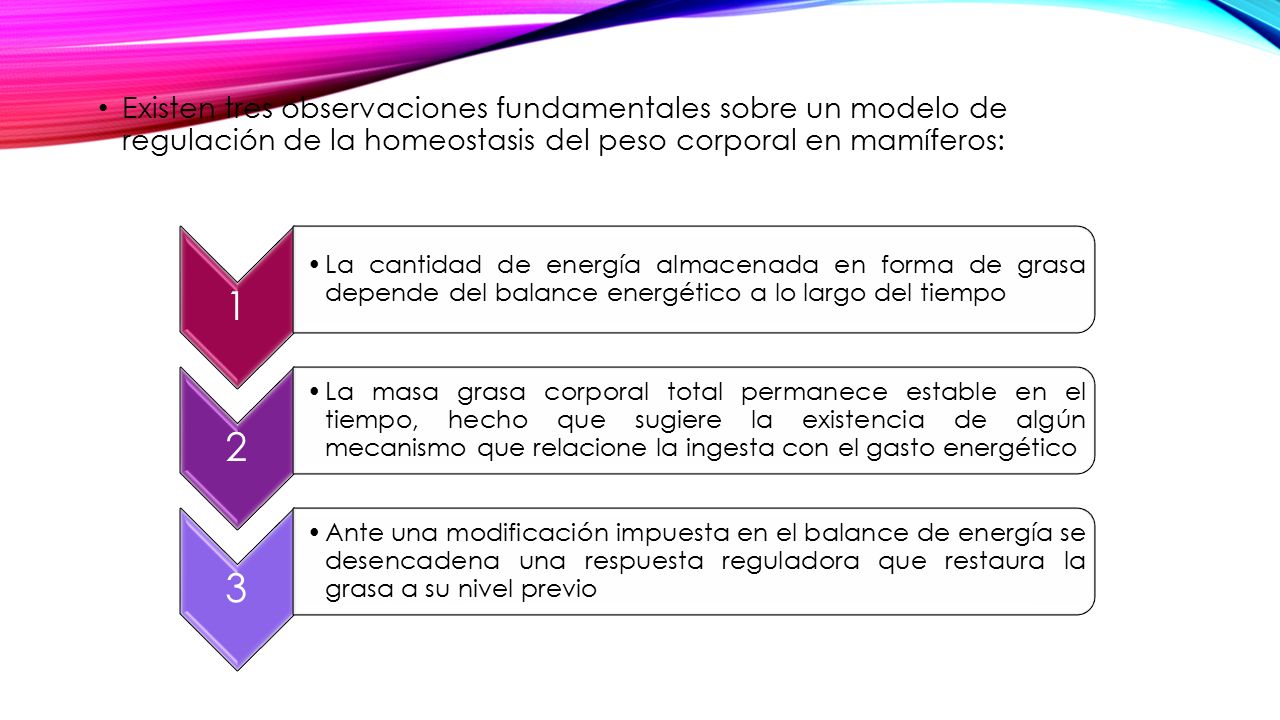 Existen tres observaciones fundamentales sobre un modelo de regulación de la homeostasis del peso corporal en mamíferos: