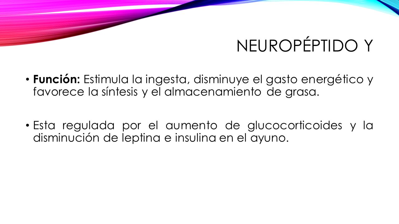 Neuropéptido Y Función: Estimula la ingesta, disminuye el gasto energético y favorece la síntesis y el almacenamiento de grasa.