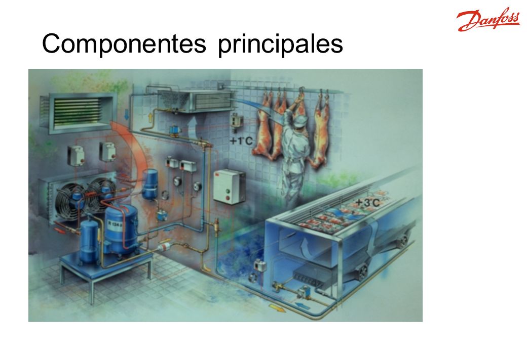 Componentes principales
