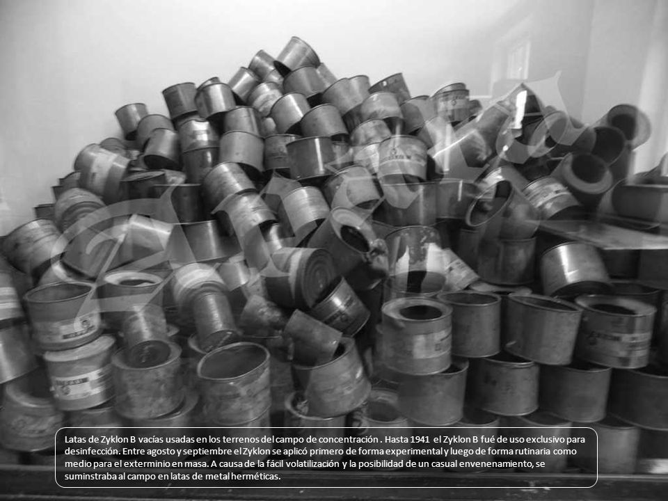 Latas de Zyklon B vacías usadas en los terrenos del campo de concentración .