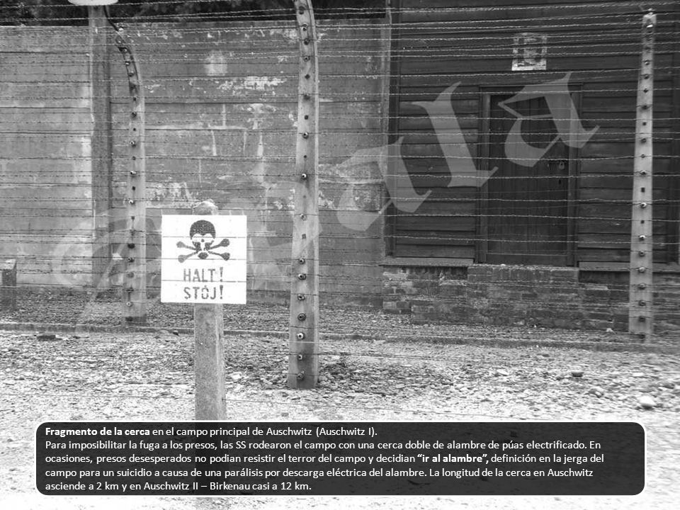 Fragmento de la cerca en el campo principal de Auschwitz (Auschwitz I).