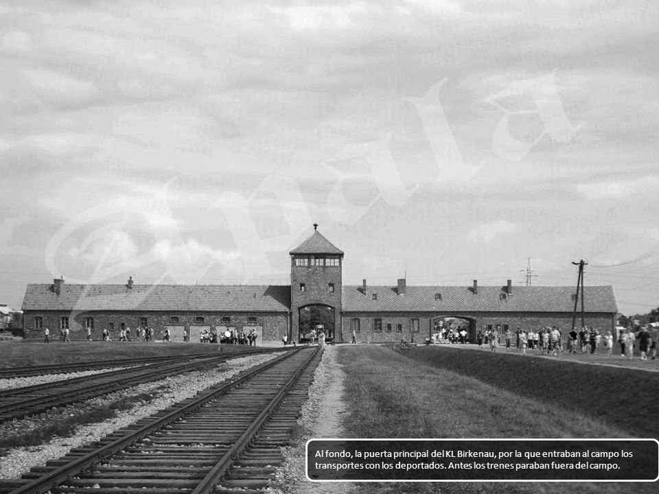 Al fondo, la puerta principal del KL Birkenau, por la que entraban al campo los transportes con los deportados.