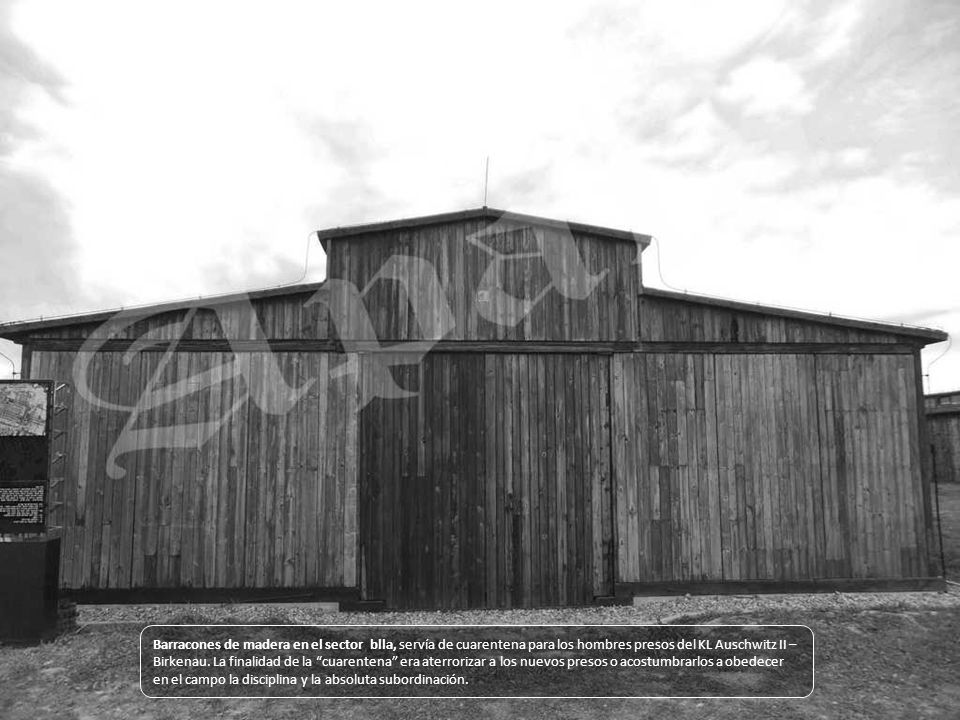 Barracones de madera en el sector blla, servía de cuarentena para los hombres presos del KL Auschwitz II – Birkenau.