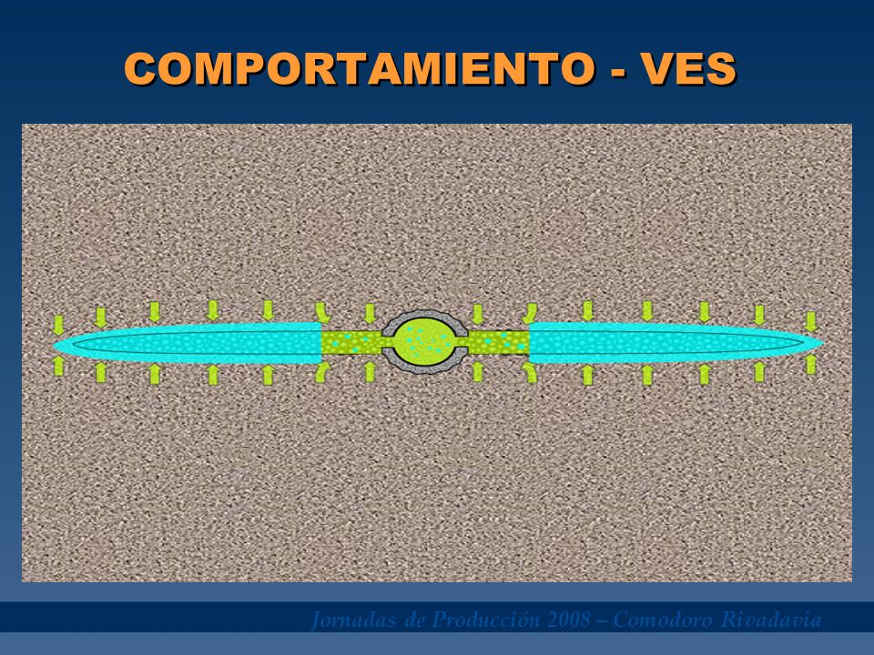 COMPORTAMIENTO - VES Jornadas de Producción 2008 – Comodoro Rivadavia