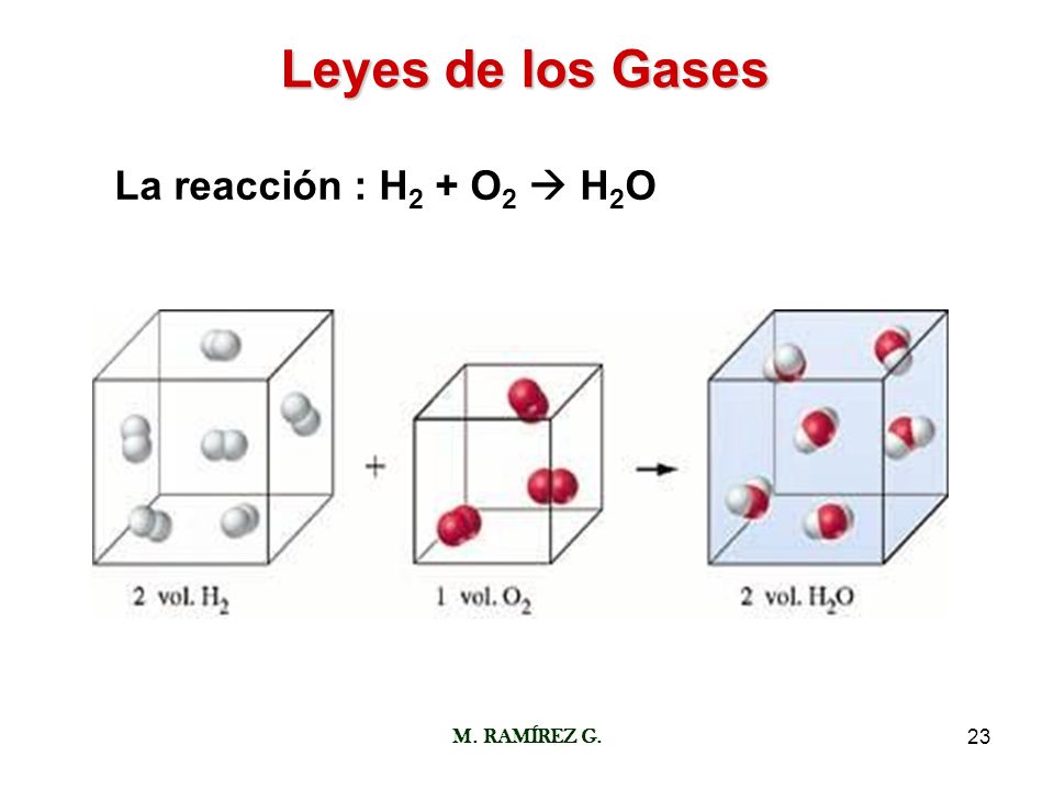 Leyes de los Gases La reacción : H2 + O2  H2O M. RAMÍREZ G.