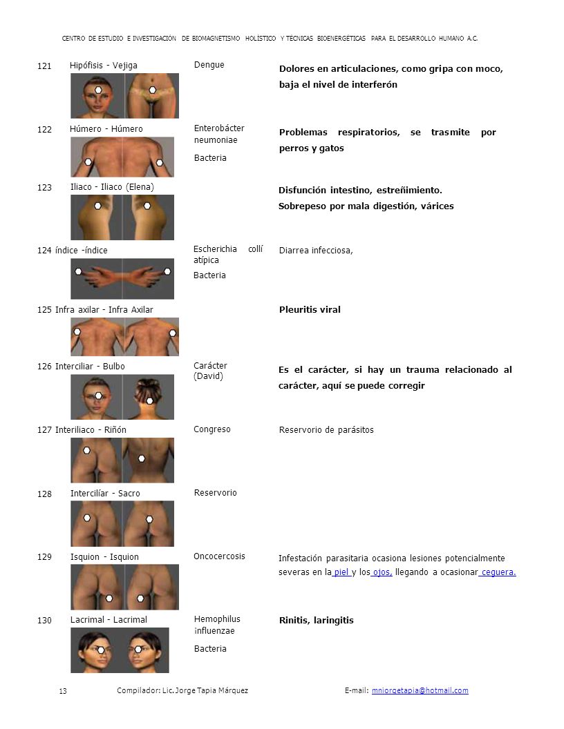 Problemas respiratorios, se trasmite por perros y gatos