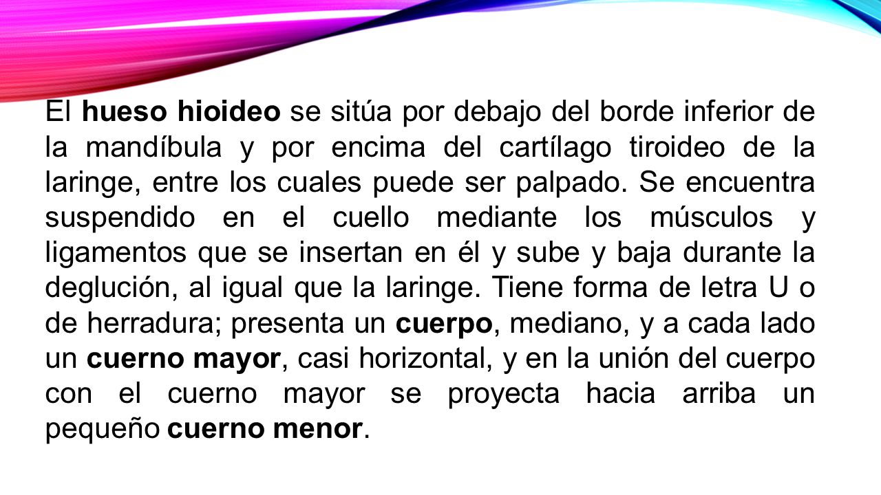 El hueso hioideo se sitúa por debajo del borde inferior de la mandíbula y por encima del cartílago tiroideo de la laringe, entre los cuales puede ser palpado.
